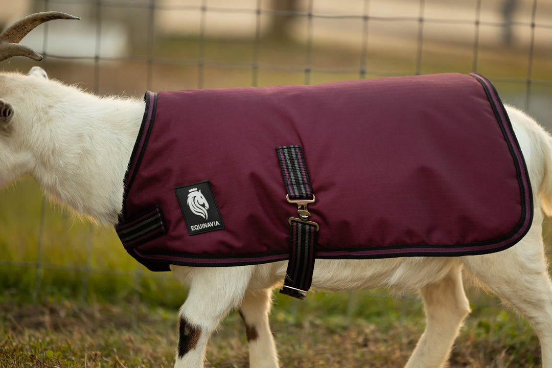 Equinavia Norse Waterproof Goat Coat 200g image 