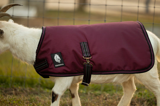 Equinavia Norse Waterproof Goat Coat 200g image 
