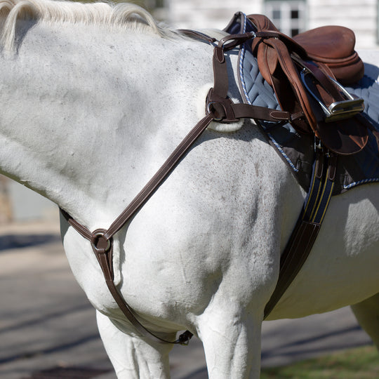 Equinavia Saga 5-point Breastplate image 