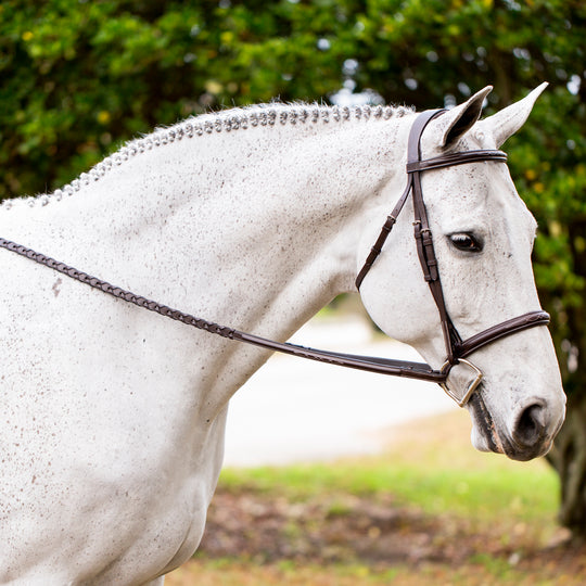 Equinavia Valkyrie Fancy Stitched Hunter Bridle &amp; Reins image 