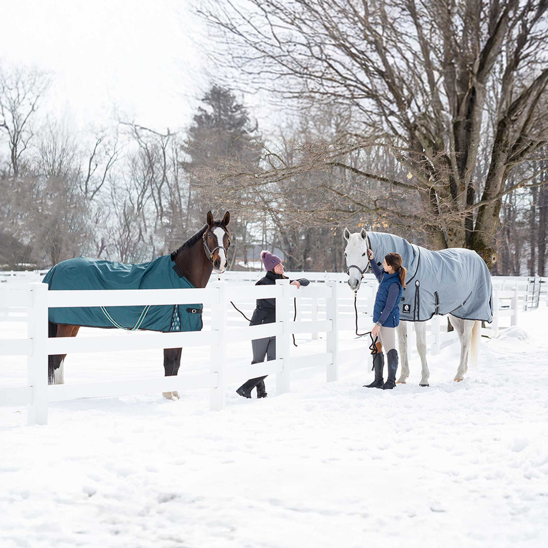 Equinavia Arktis Regular Neck Heavy Weight Turnout Blanket 300g image 