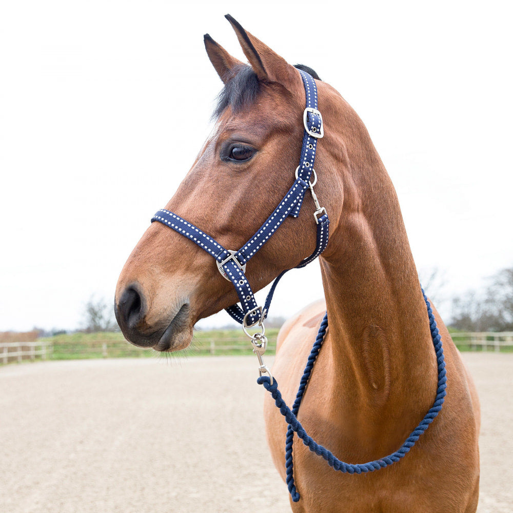 Horze Cooper Halter with Lead Rope image #1