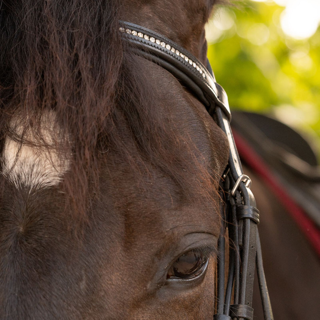 Equinavia Saga Dressage Crank Noseband Bridle &amp; Reins image 