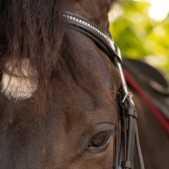 Equinavia Saga Dressage Crank Noseband Bridle &amp; Reins image 