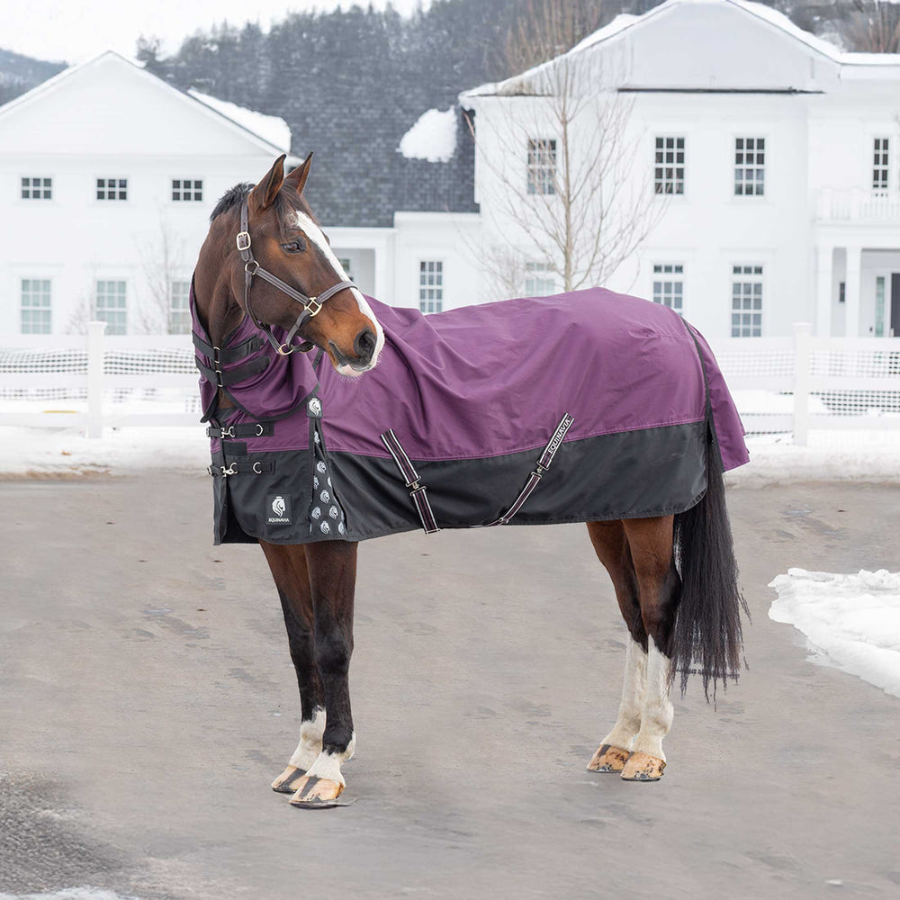 Equinavia Thunder 360 Detachable Neck Turnout Sheet image #6