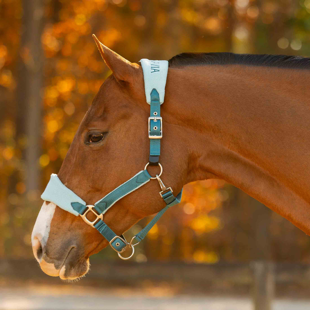 Equinavia Saga Fleece Padded Breakaway Halter image #1