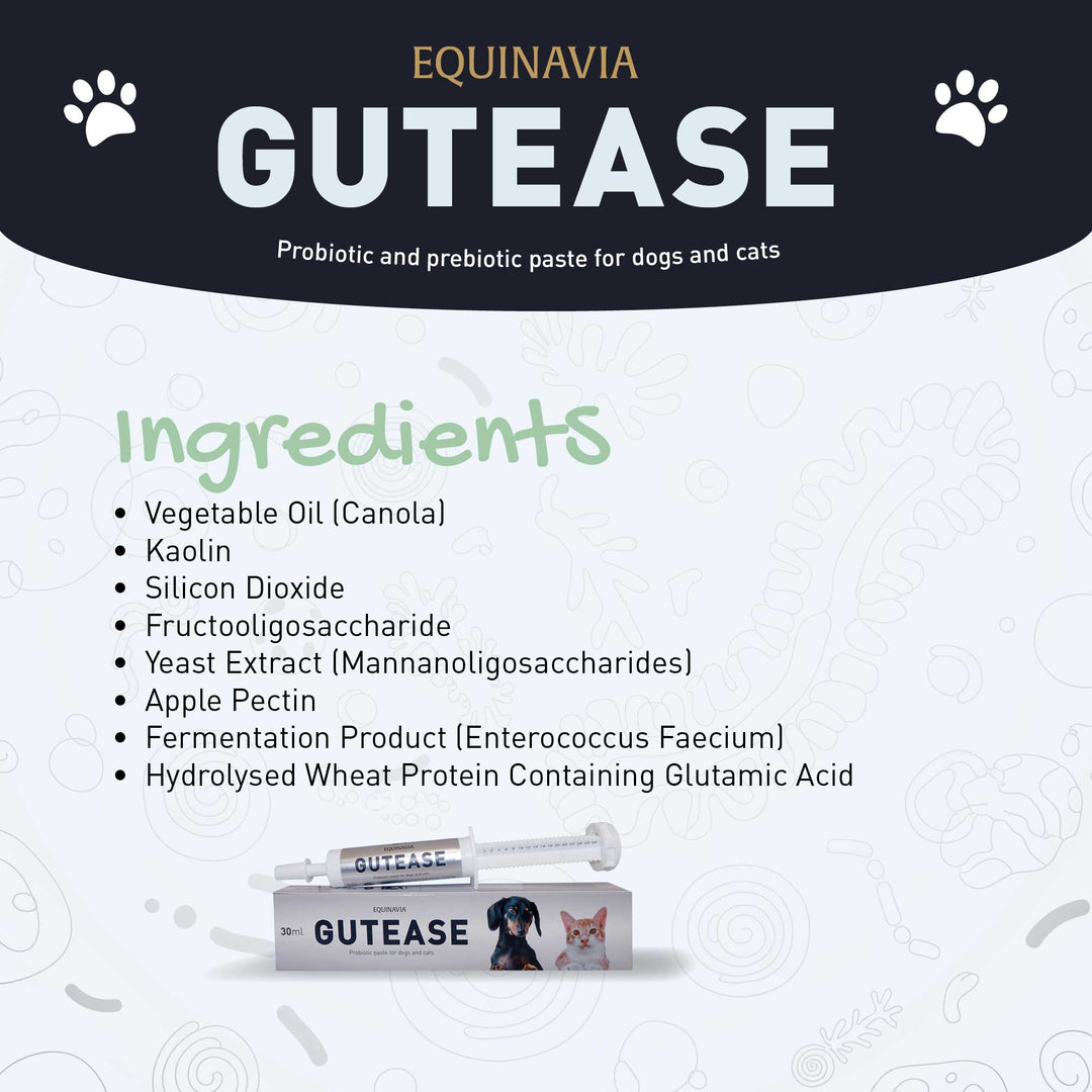 Equinavia GutEase image 