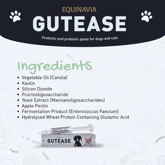 Equinavia GutEase image 