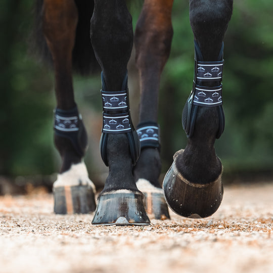 Veredus TRH5 Front Tendon Boots image 