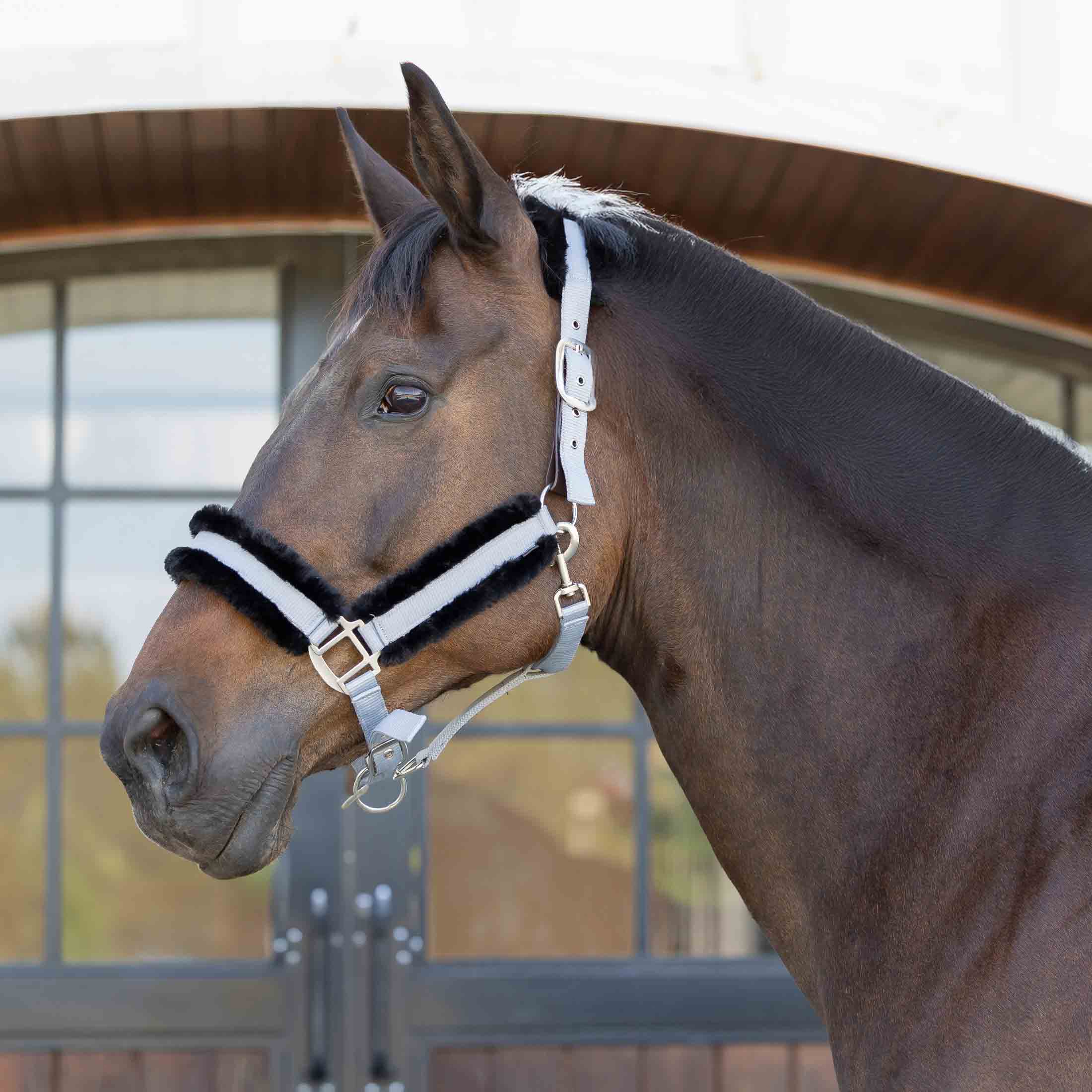 Equinavia Valkyrie Ultra Fleece Breakaway Halter image #1