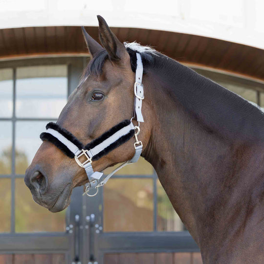 Equinavia Valkyrie Ultra Fleece Breakaway Halter image 