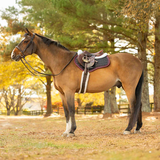 Equinavia Copenhagen Stay Put All Purpose Saddle Pad image 
