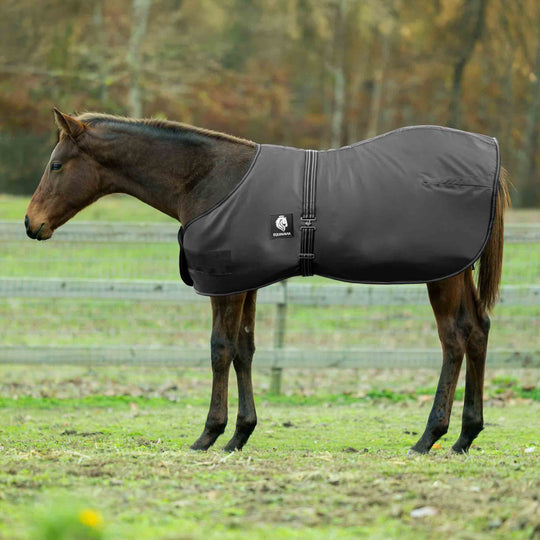 Equinavia Norse Foal Turnout Sheet image 