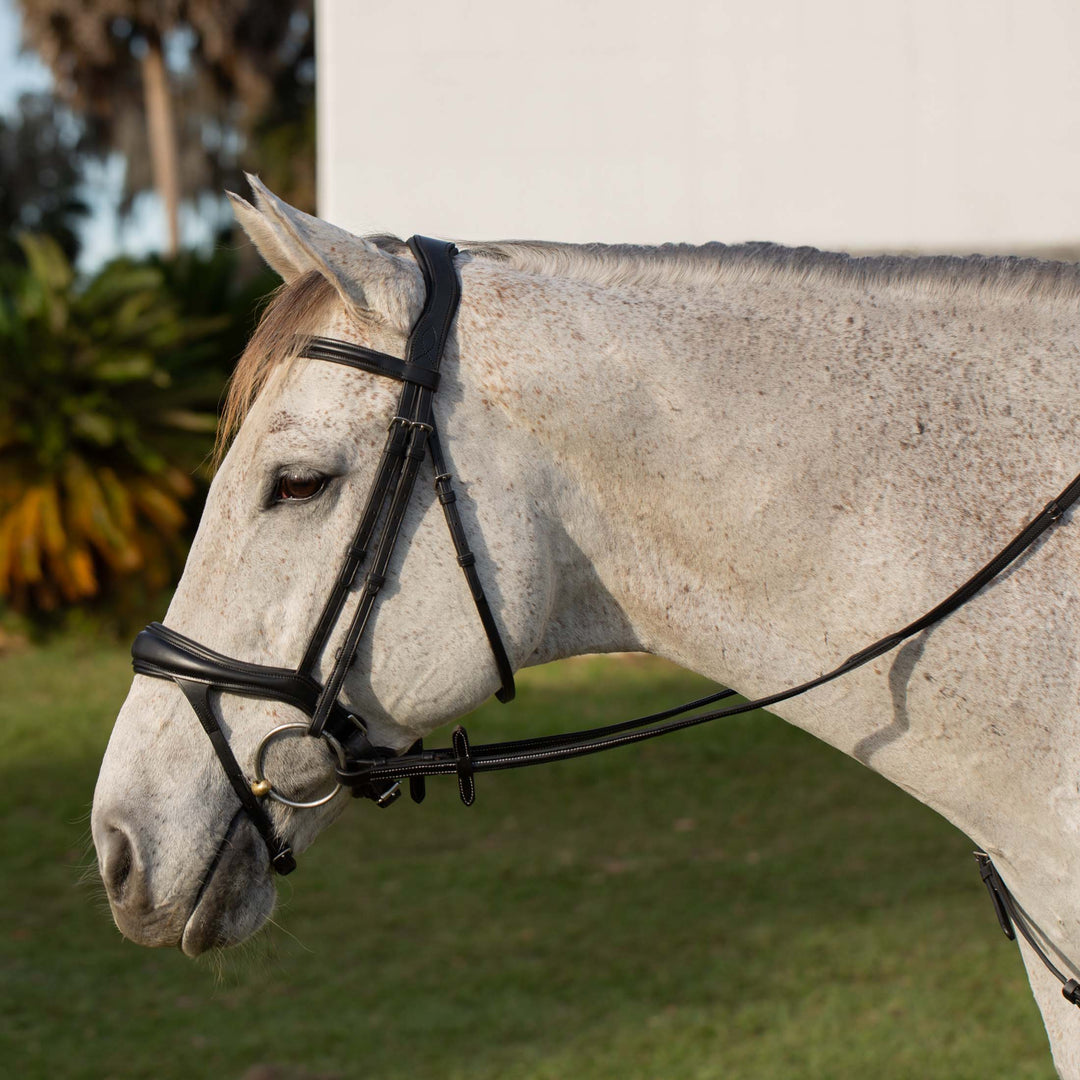 Equinavia Valkyrie Alternative Flash Bridle with Rubber Reins image #1
