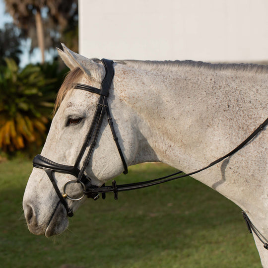 Equinavia Valkyrie Alternative Flash Bridle with Rubber Reins image 