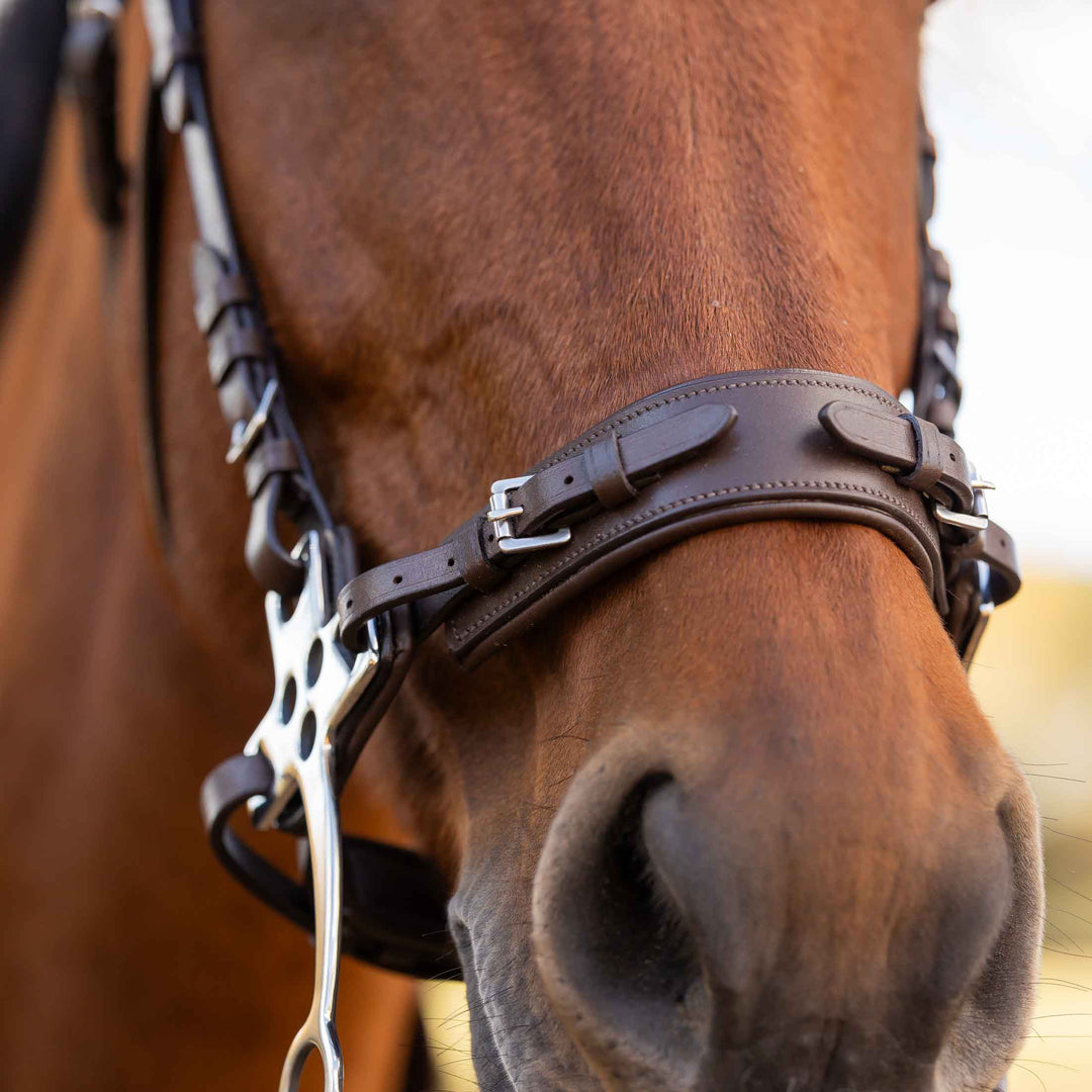 Equinavia Saga Hackamore Noseband image 