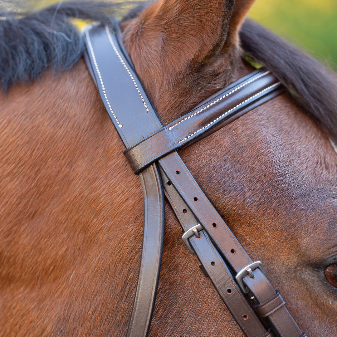 Equinavia Saga Wide Noseband Hunter Bridle with Reins image 