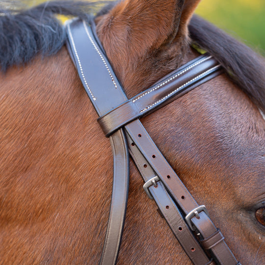 Equinavia Saga Wide Noseband Hunter Bridle with Reins image 