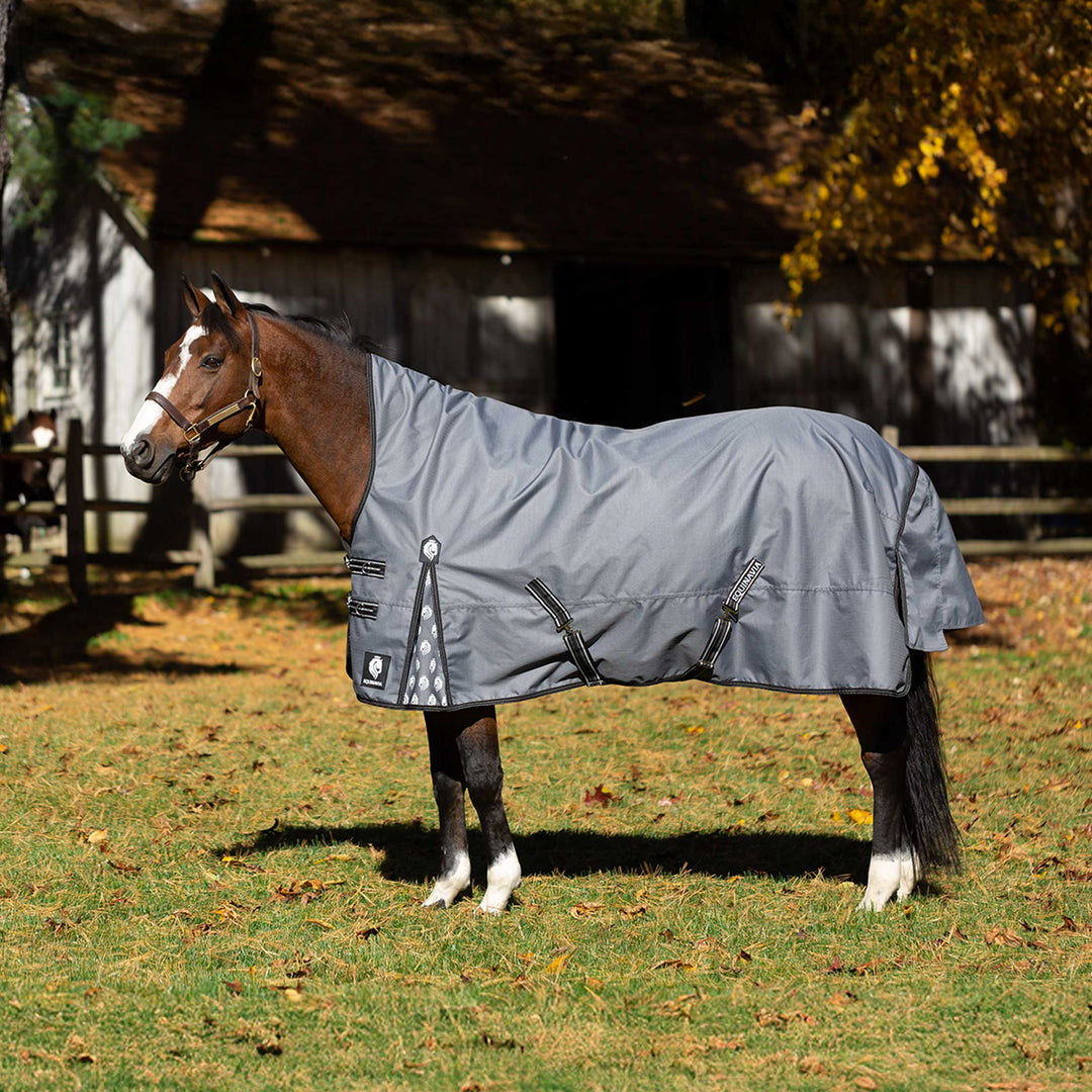 Equinavia Arktis Extended Neck Light Weight Turnout Blanket 100g image #1