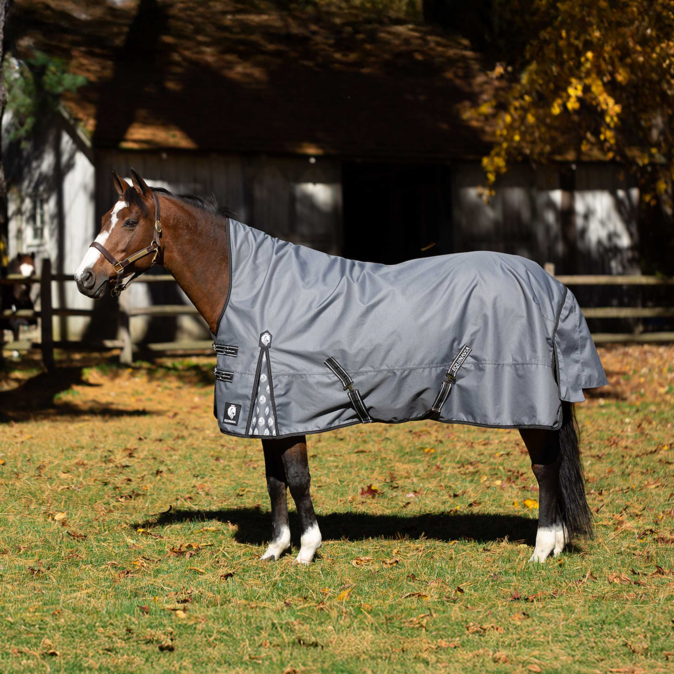 Equinavia Arktis Extended Neck Light Weight Turnout Blanket 100g image #1
