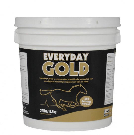 TRM Everyday Gold image 