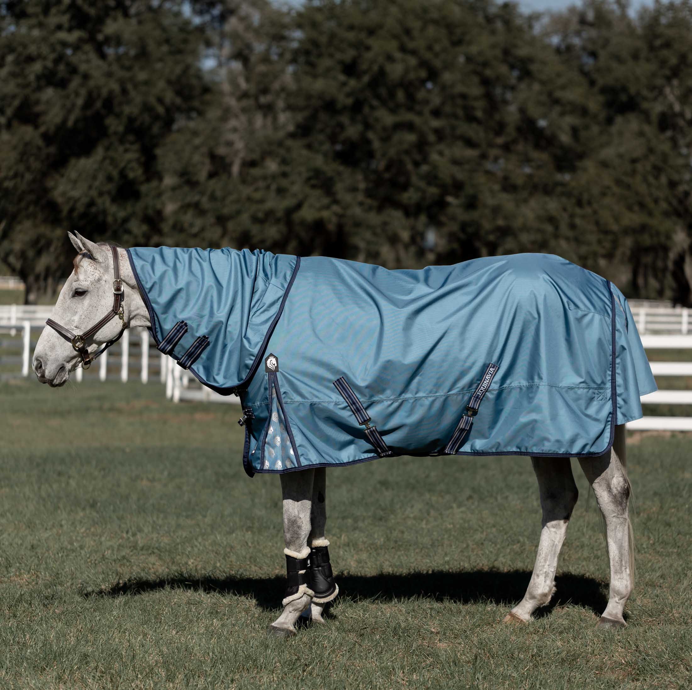 Equinavia Thunder 360 Detachable Neck Mid Weight Turnout Blanket 200g image #1