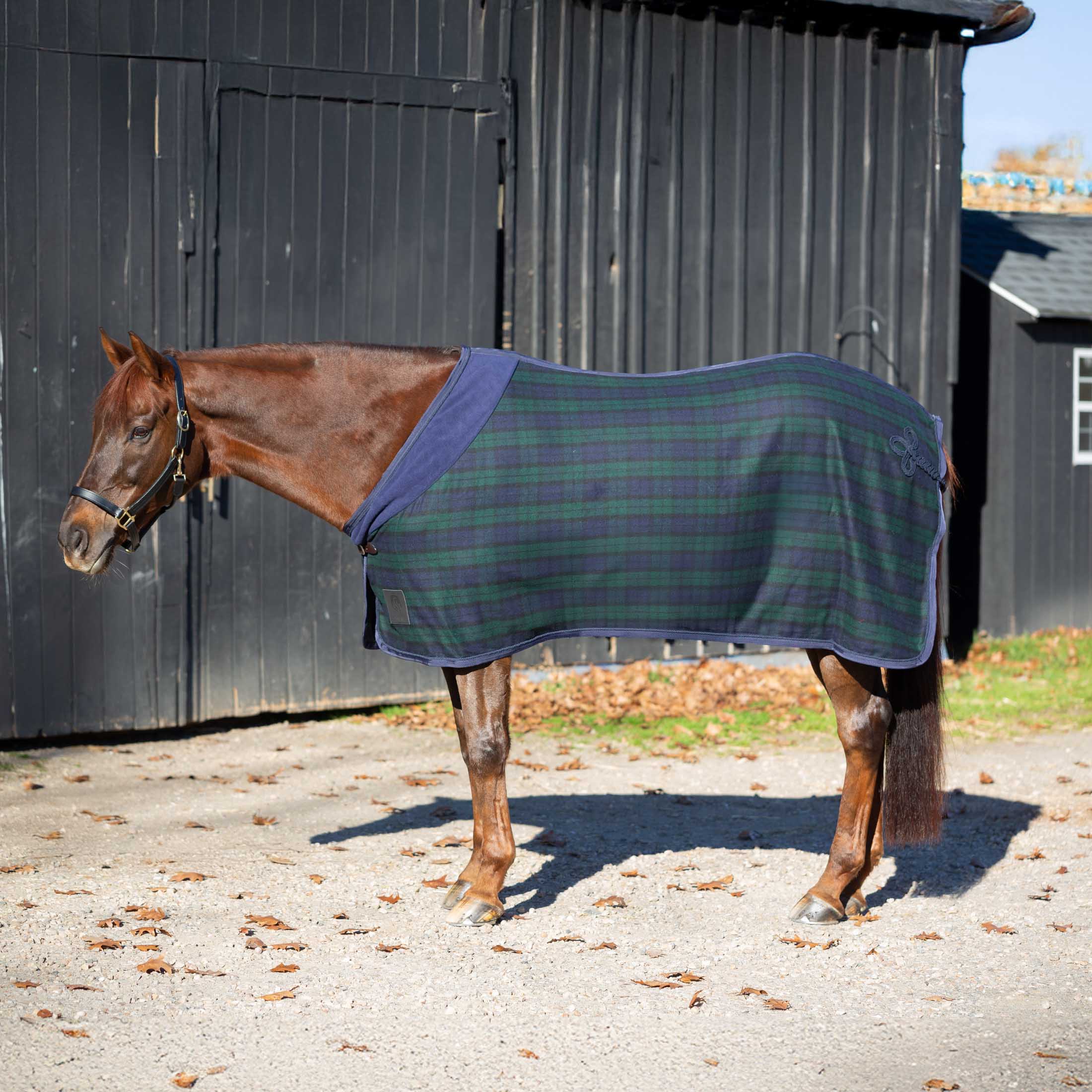 Equinavia Ulla Wool Cooler image #1