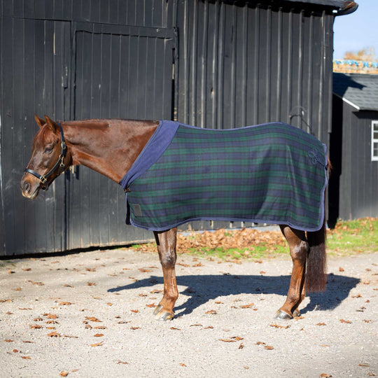 Equinavia Ulla Wool Cooler image 