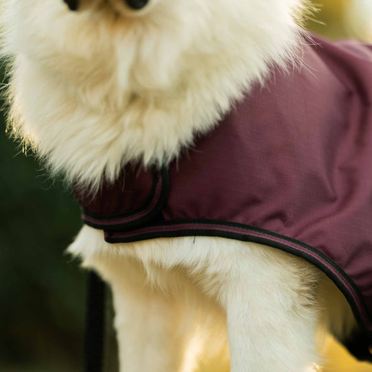 Equinavia Norse Dog Turnout Sheet image 