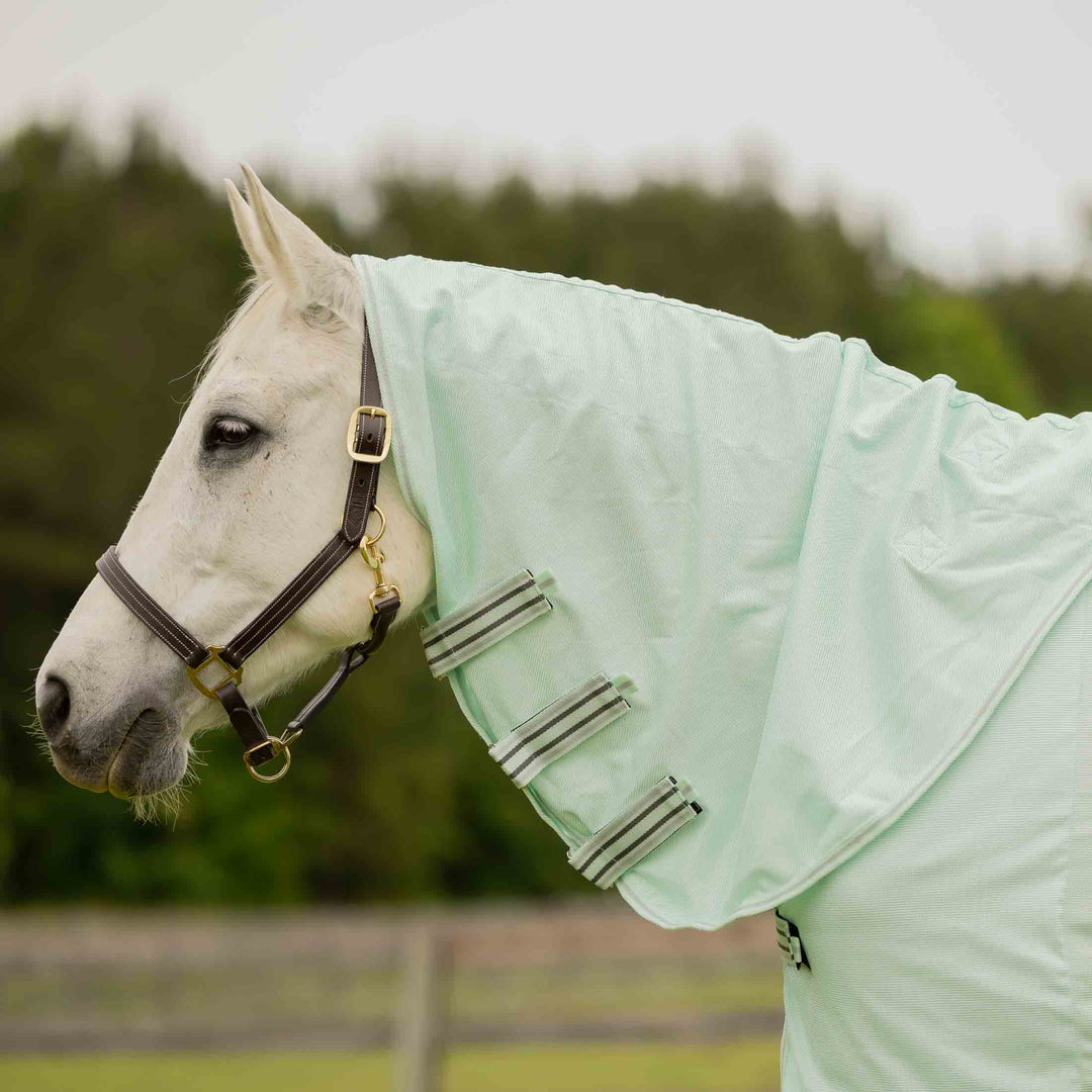 Equinavia Brisk Fly Sheet with Detachable Neck image #1