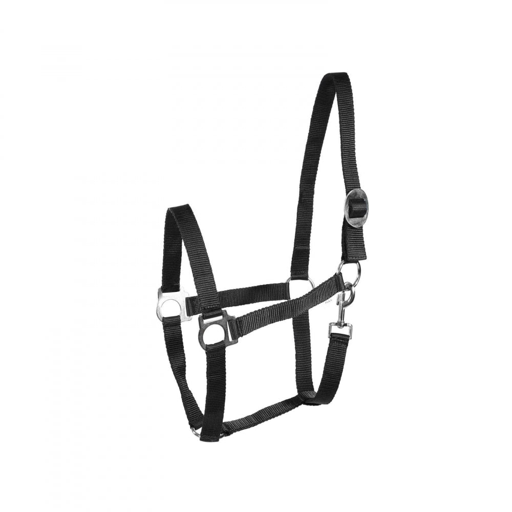 Horze Basic Horse Halter image #1
