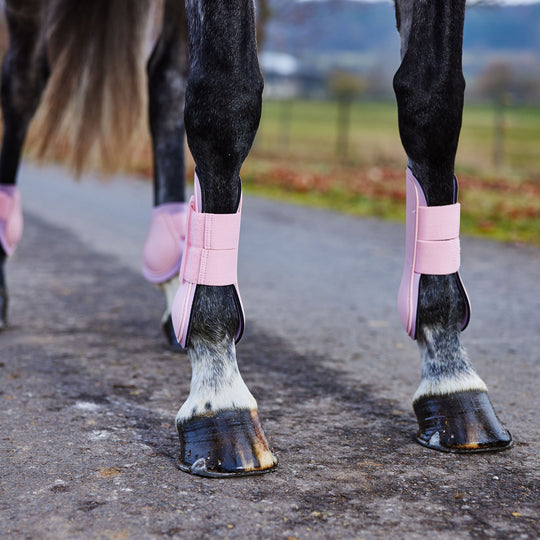 Horze Chicago Tendon Open Front Horse Boots image 