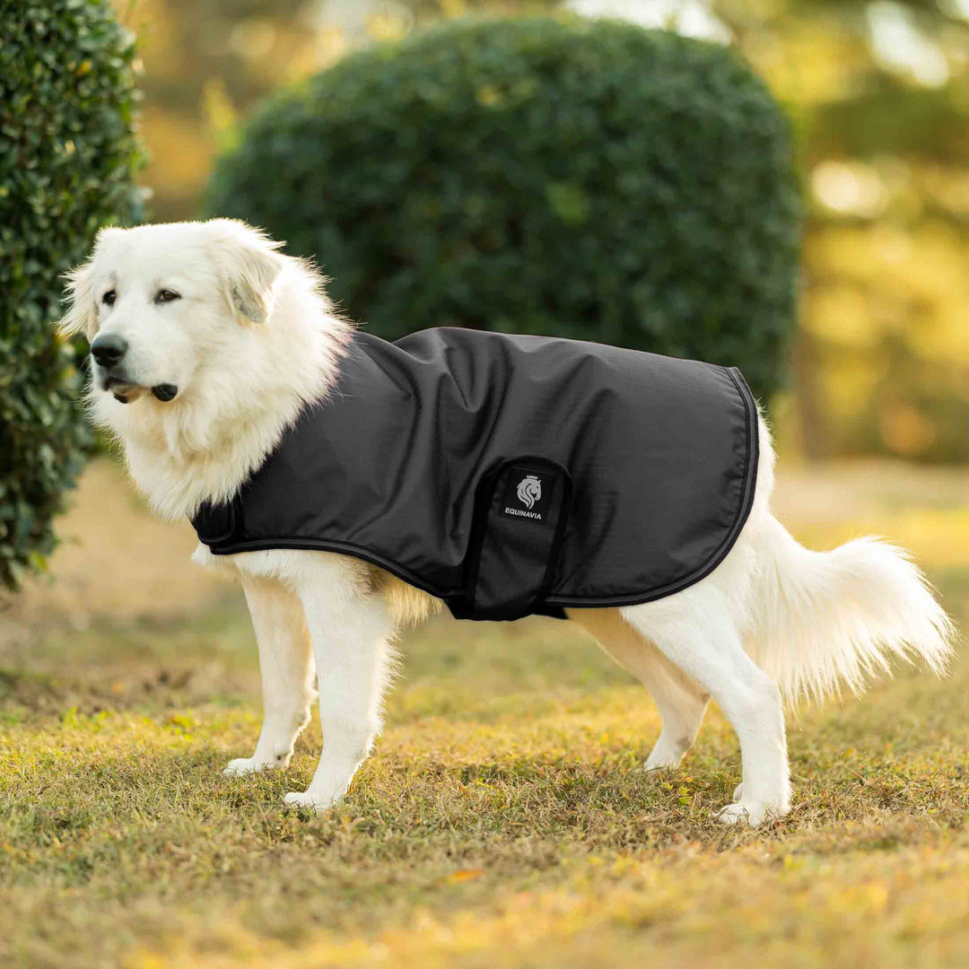 Equinavia Norse Dog Turnout Sheet image 