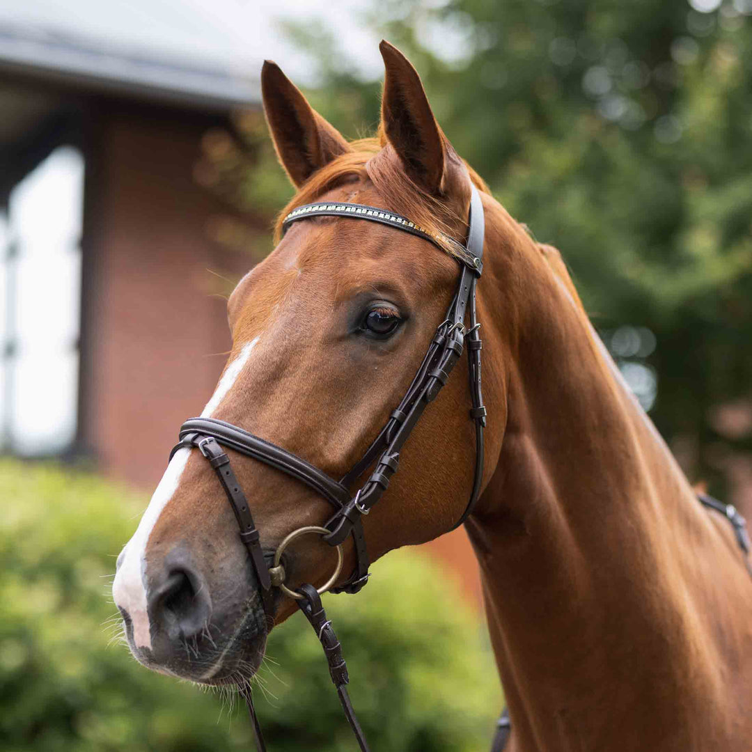 Horze Weston Flash Bridle w/ Reins image 