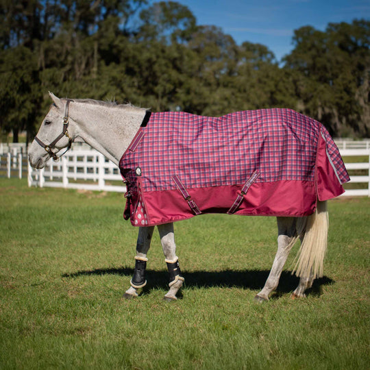 Equinavia Arktis Regular Neck Turnout Sheet image 