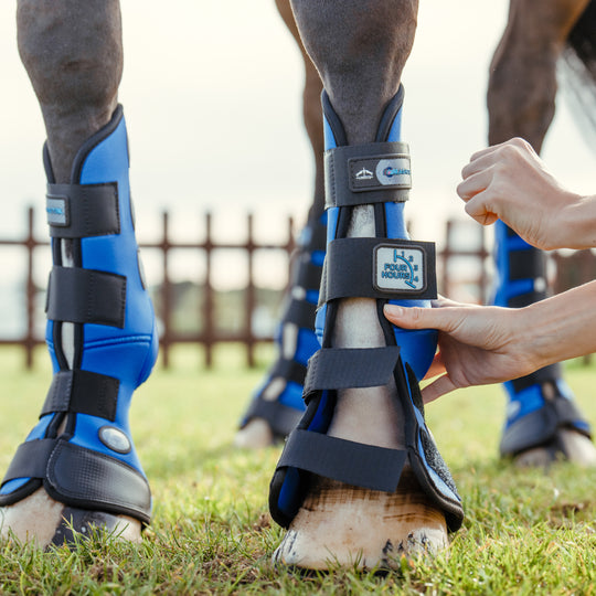 Veredus Magnetik 4-Hour Front Stable Boots image 