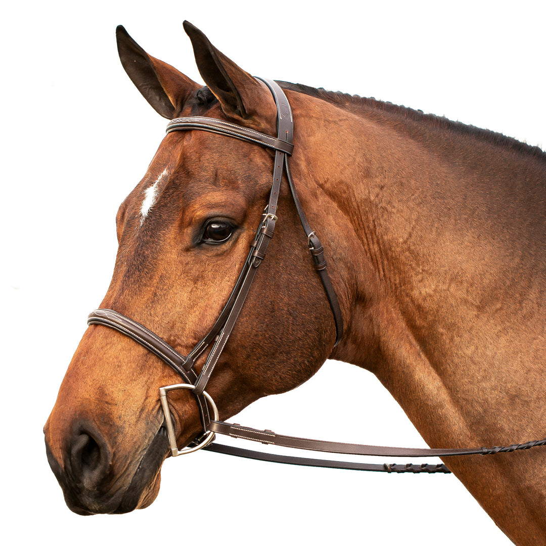 Equinavia Saga Fancy Stitched Hunter Bridle &amp; Reins image 