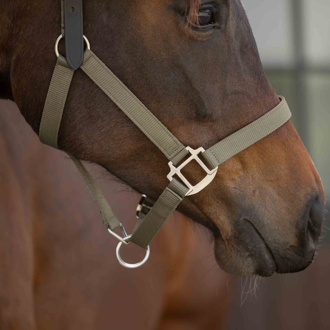 Equinavia Loki Breakaway Halter image 