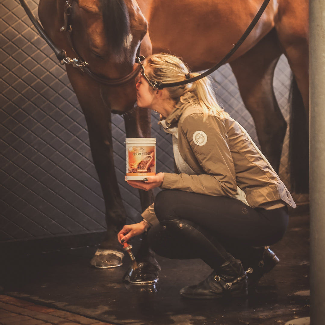 Veredus Golden Hoof image 