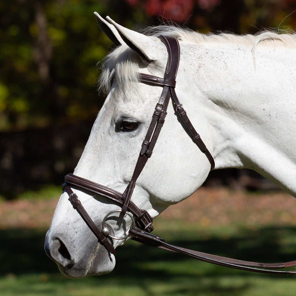 Equinavia Valkyrie Fancy Stitched Jumper Bridle & Rubber Reins image #2