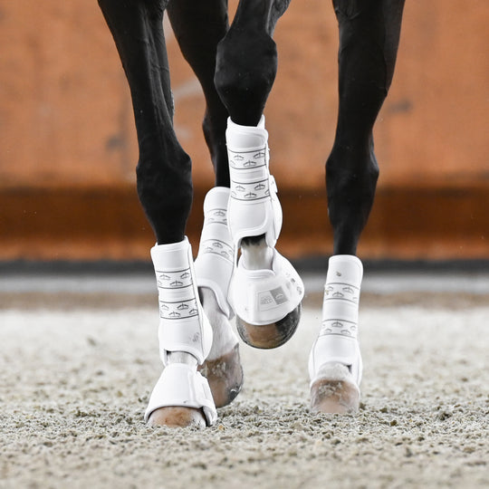 Veredus Absolute Easy Strap Rear Dressage Boots image 