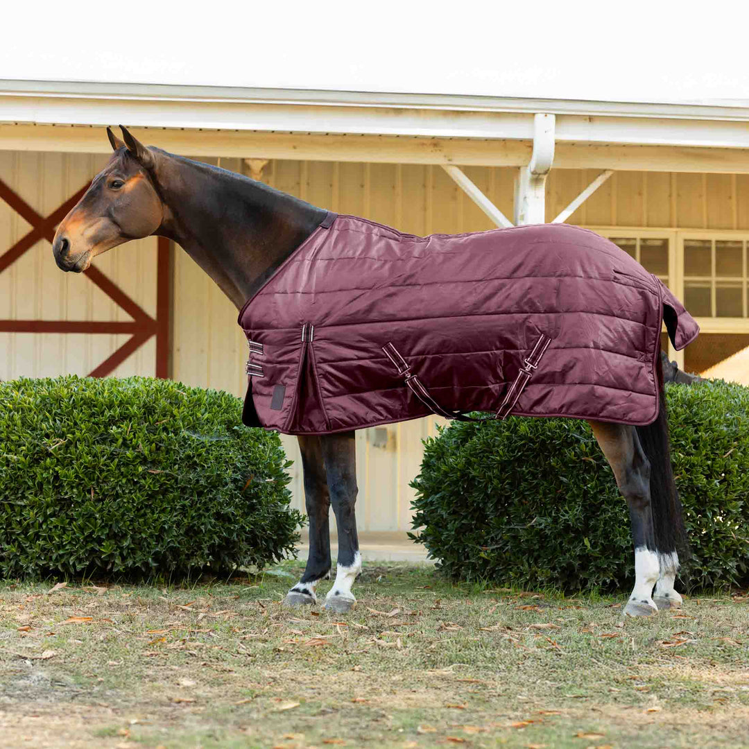 Equinavia Norse Gusseted Stable Blanket 100g image 