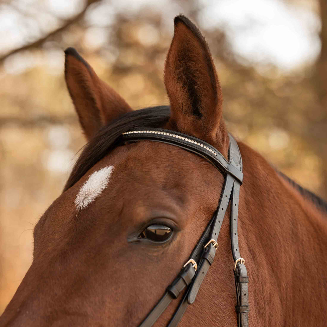 Equinavia Saga Fancy Stitch Detachable Flash Noseband image 