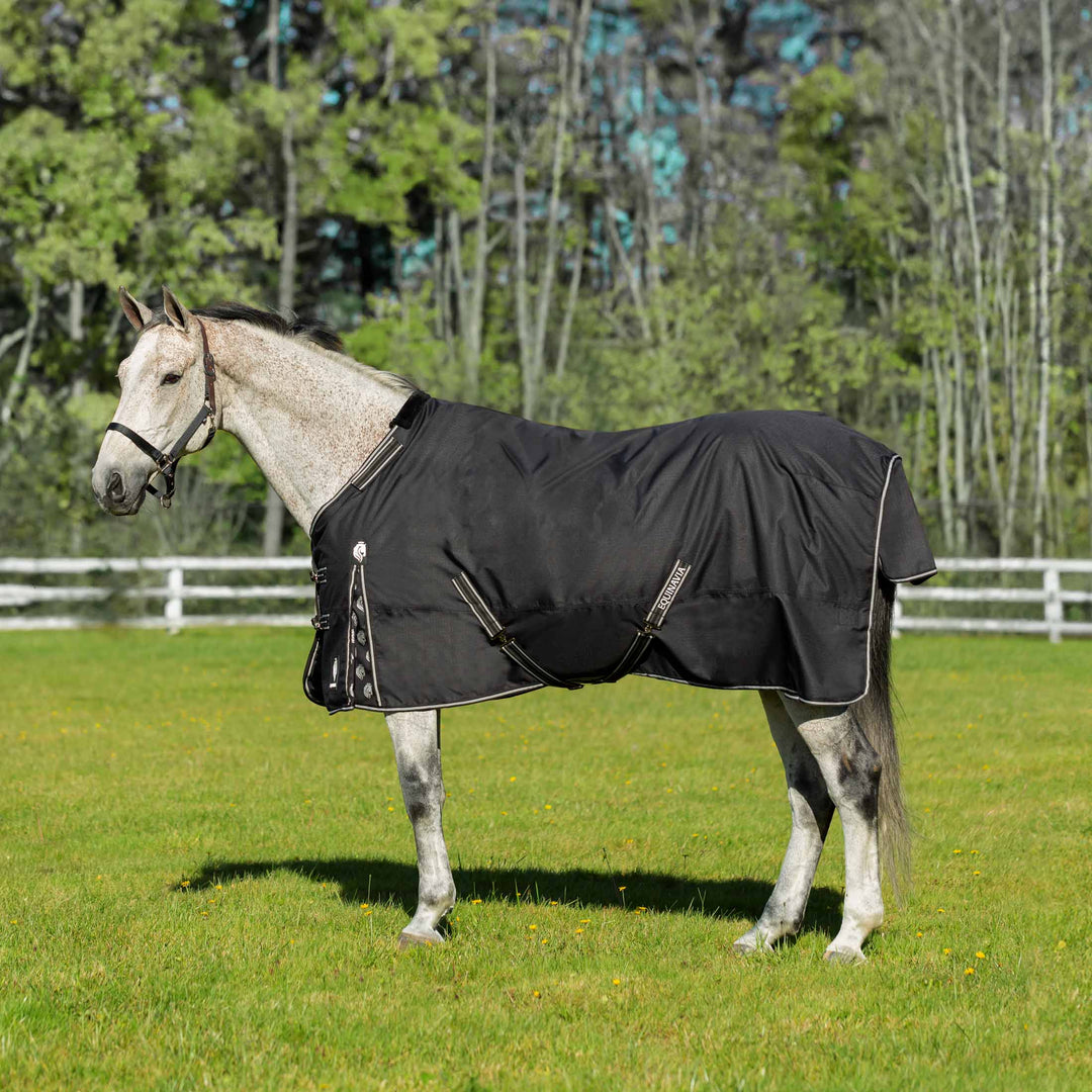 Equinavia Norse Light Weight Turnout Blanket 100g image #1