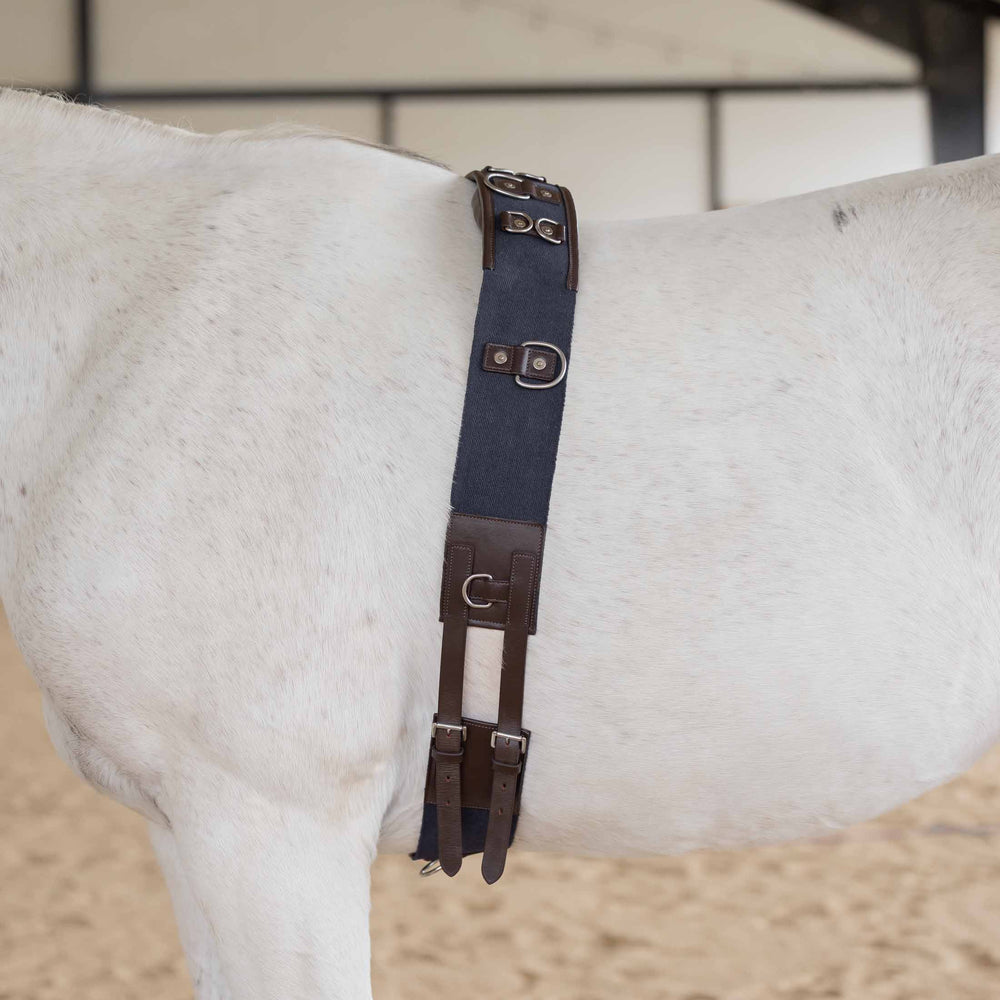 Equinavia Saga Lunge Surcingle image #2