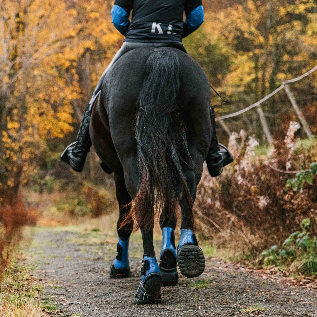 Equine Fusion Dampening Hoof Boot Pads 2.0 Pair image 
