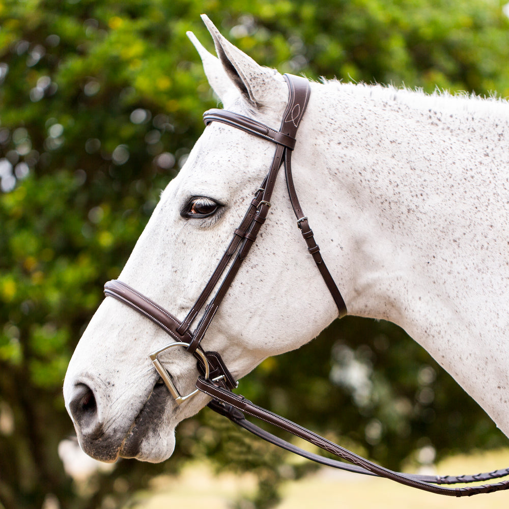 Equinavia Valkyrie Fancy Stitched Hunter Bridle & Reins image #2