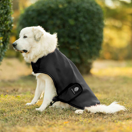 Equinavia Norse Dog Turnout Sheet image 