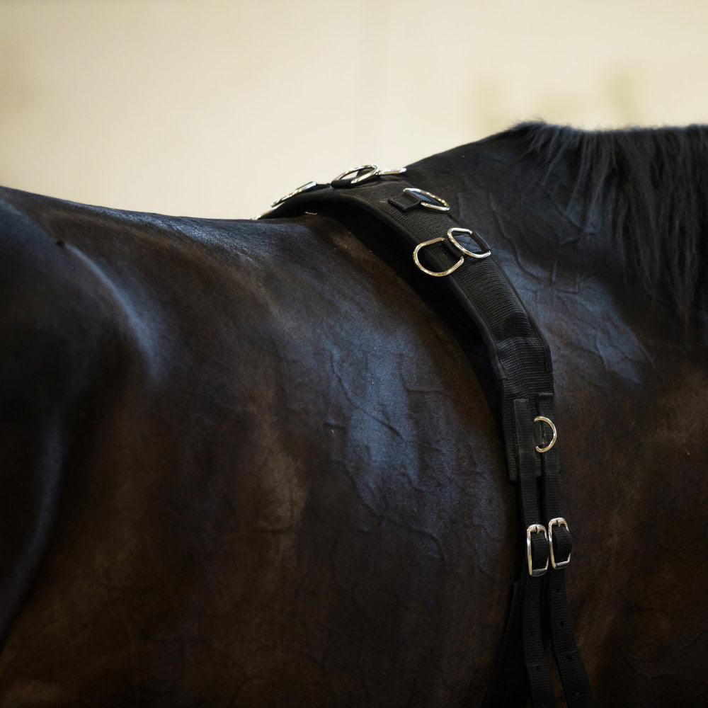 Horze Lunging Surcingle Nylon image 