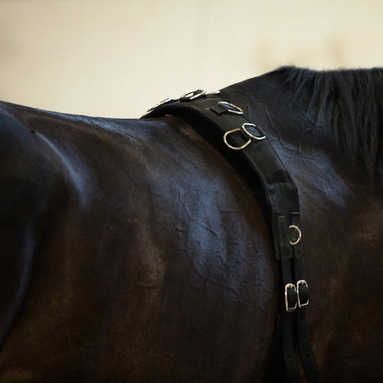 Horze Lunging Surcingle Nylon image 